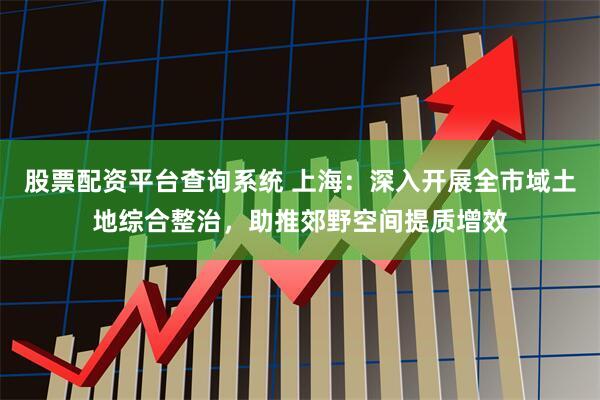 股票配資平臺(tái)查詢(xún)系統(tǒng) 上海：深入開(kāi)展全市域土地綜合整治，助推郊野空間提質(zhì)增效